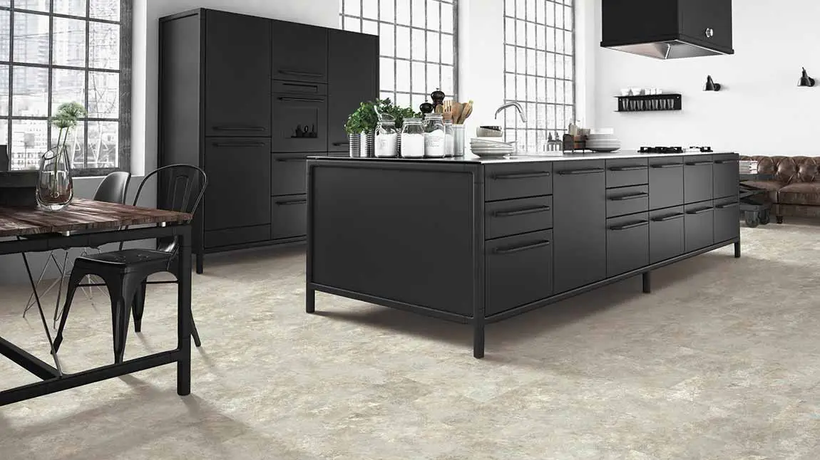 Modern Kitchen with Black cabinets_